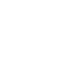 Digital Reach